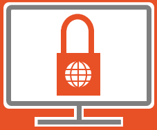 Cyber Security Icon