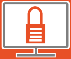 Data Security Icon